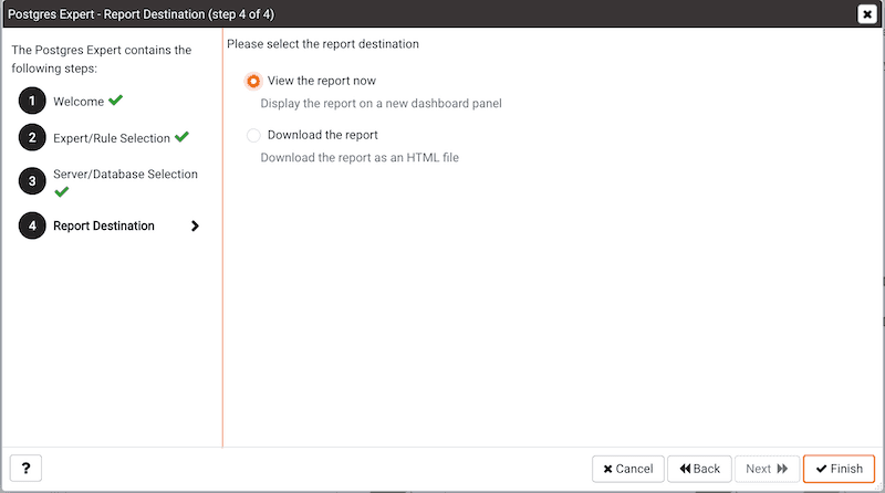 Postgres Expert Wizard - Report Destination options page